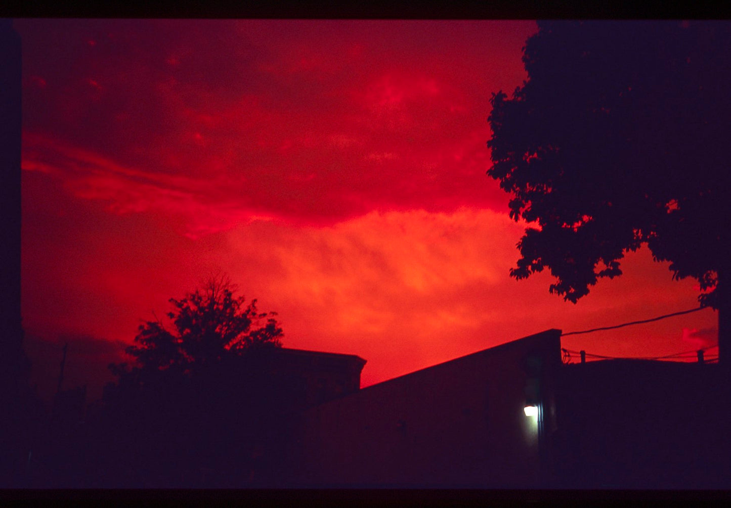 E-6 Film (Slide)