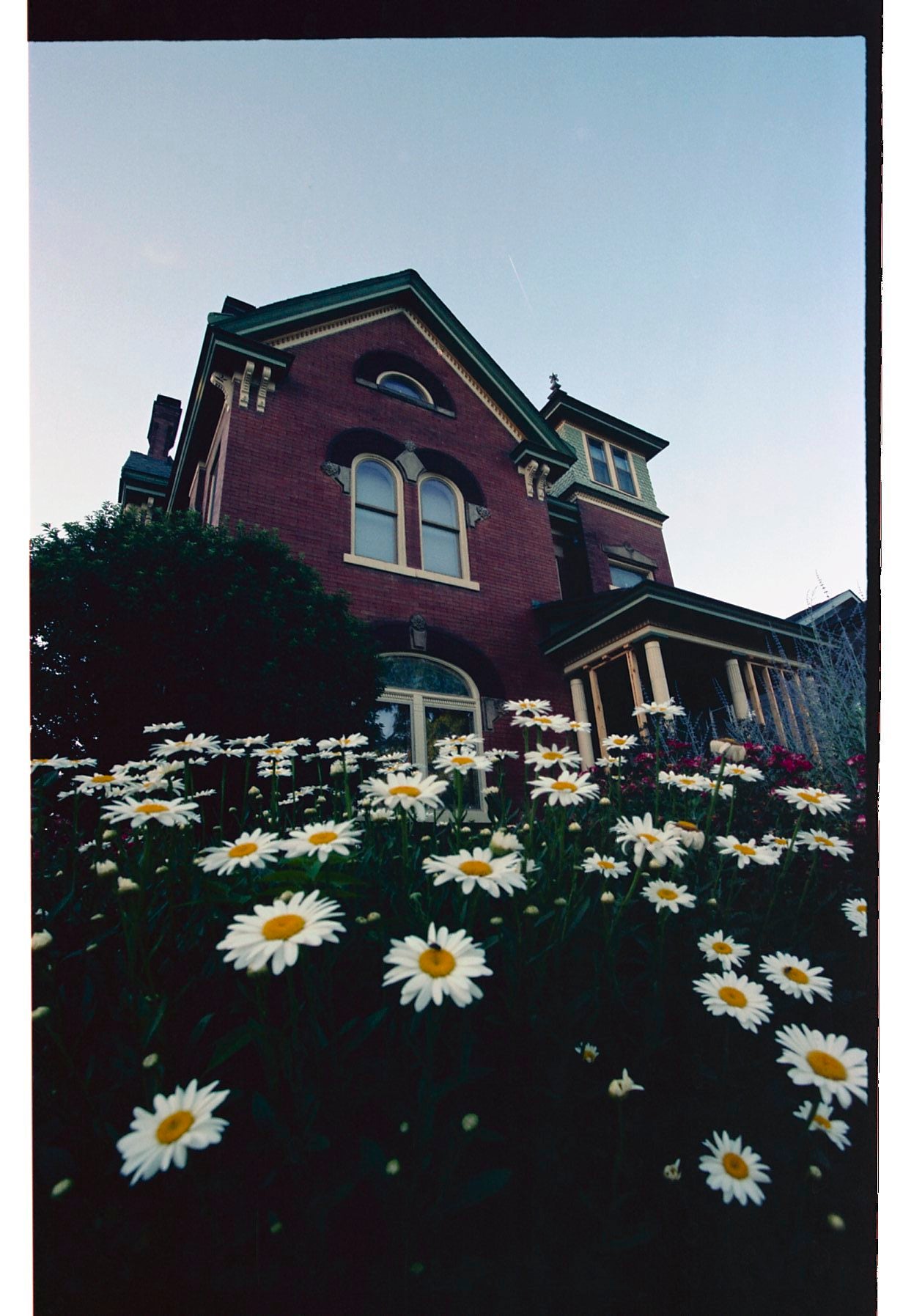 ECN-2 Film